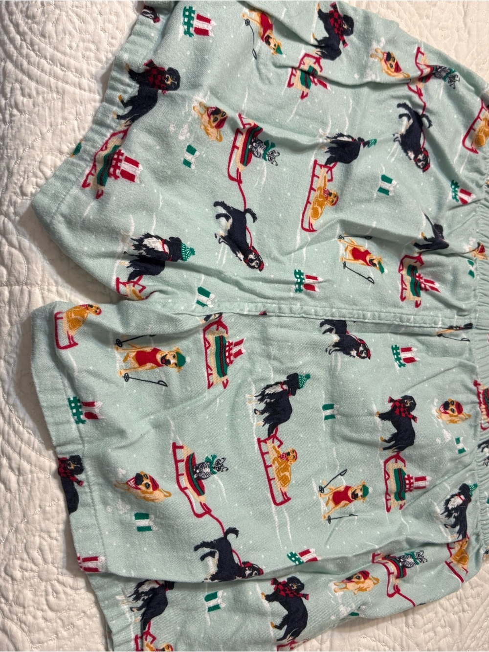 Men’s Landsend Large 36-38 Light  Teal Dog & Sled Print Pajama Shorts